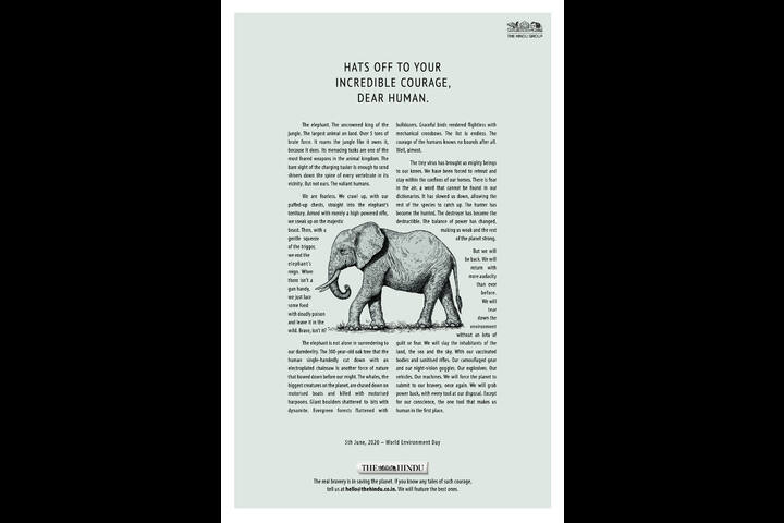 The Elephant - The Hindu Group - The Hindu