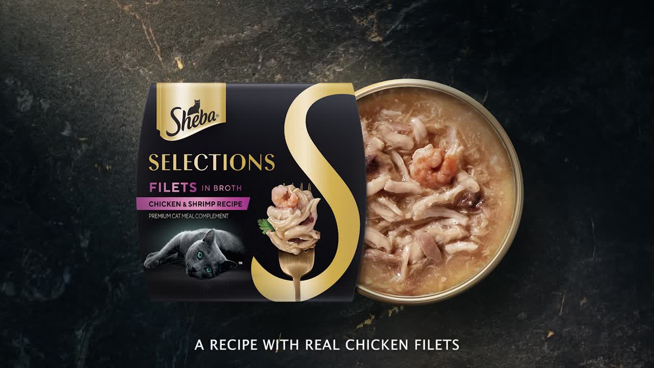 The Pharaohs' Lost Cat - Sheba - Sheba