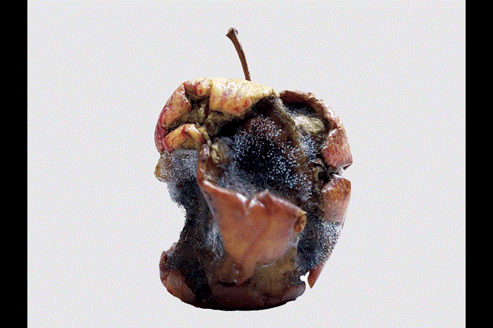 Waste - 2023 - Maurício Firmino Jr.