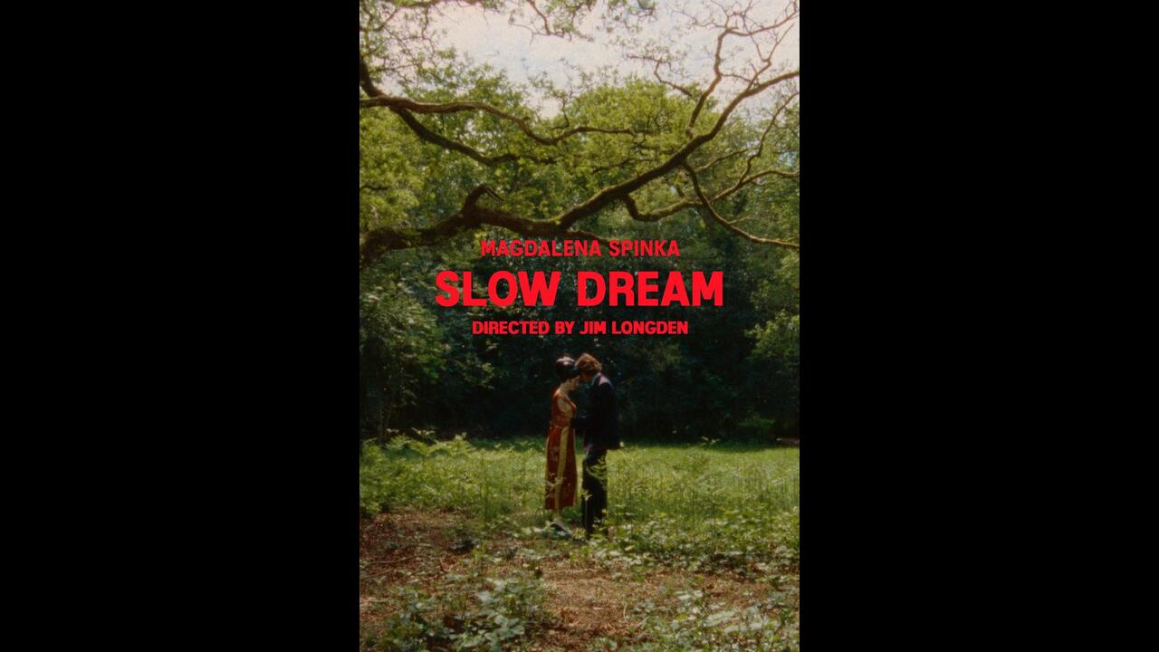 Slow Dream - Stink - Magdalena Spinka