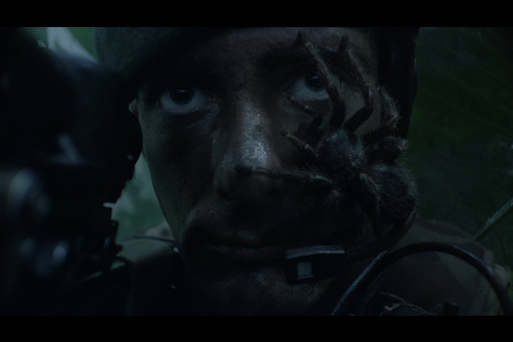 Spider - Royal Marines - Royal Navy