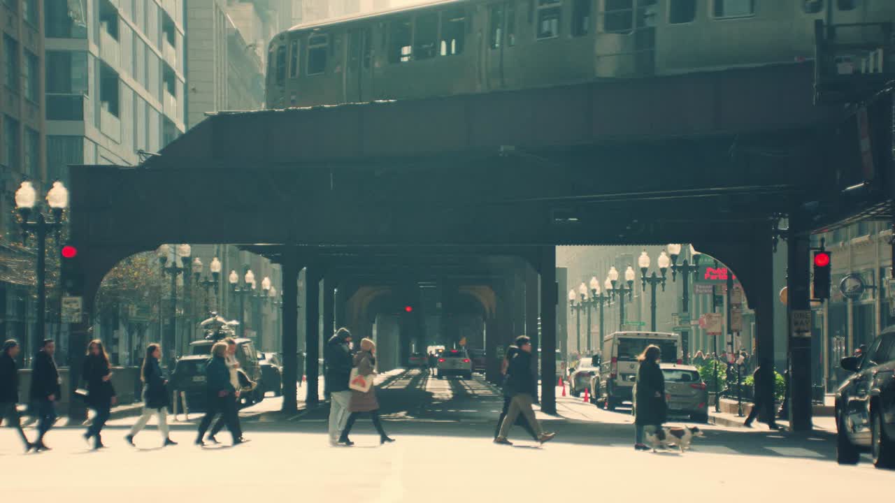 Waylon - Biscuit Filmworks x Revolver - Revolver