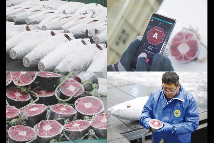 TUNA SCOPE 2020 - TUNA SCOPE and AI TUNA - TUNA SCOPE and AI TUNA