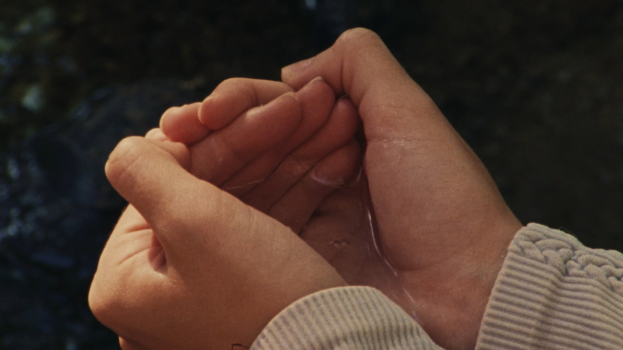 Bowl of Life - Brickhead - 