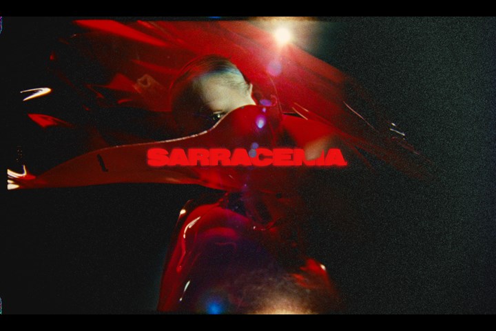 SARRACENIA - The Marmalade - 