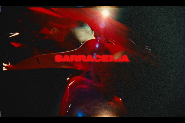 SARRACENIA - The Marmalade -