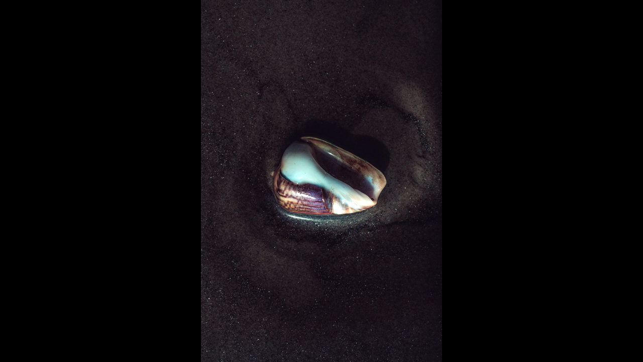 Constelações - 2019 - 