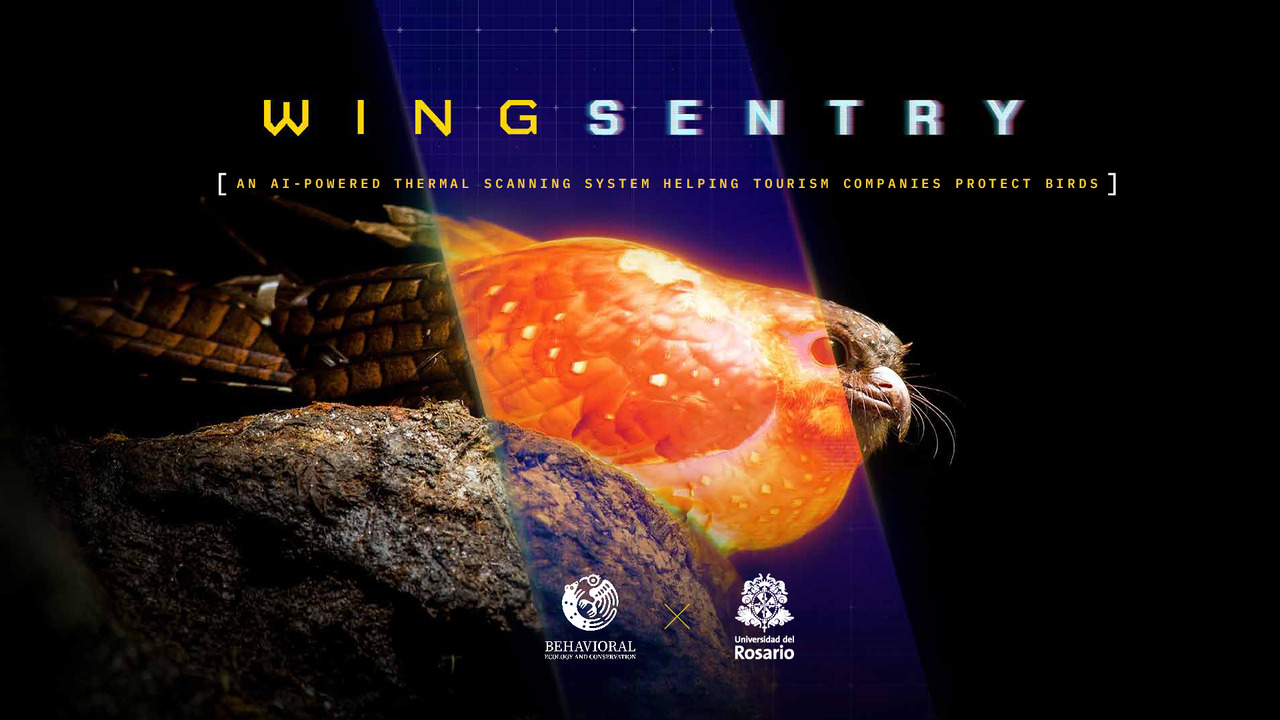 WingSentry - WingSentry - Behavioural Ecology & Conservation Group