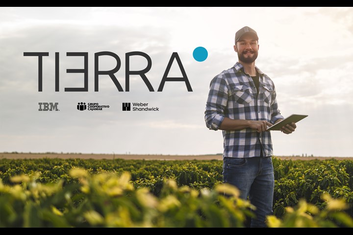 IBM - Plataforma Tierra - Plataforma Tierra - IBM