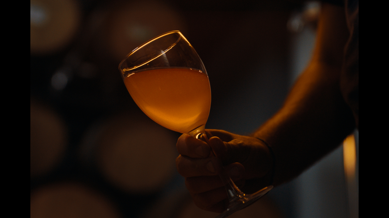 Fallen Grape - Natural Wine for All - Self-Produced - Fallen Grape Wine Co.