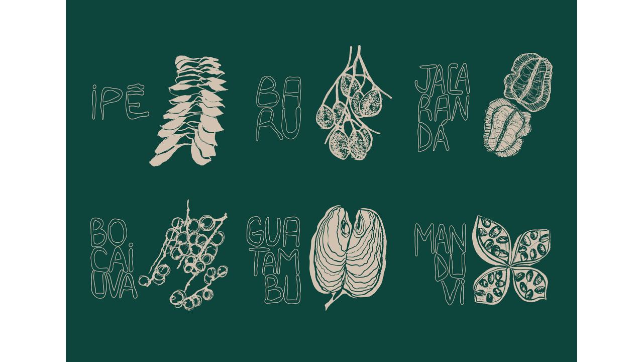 Coleção HORTO/GRÁFICO - 2024 - POLCA