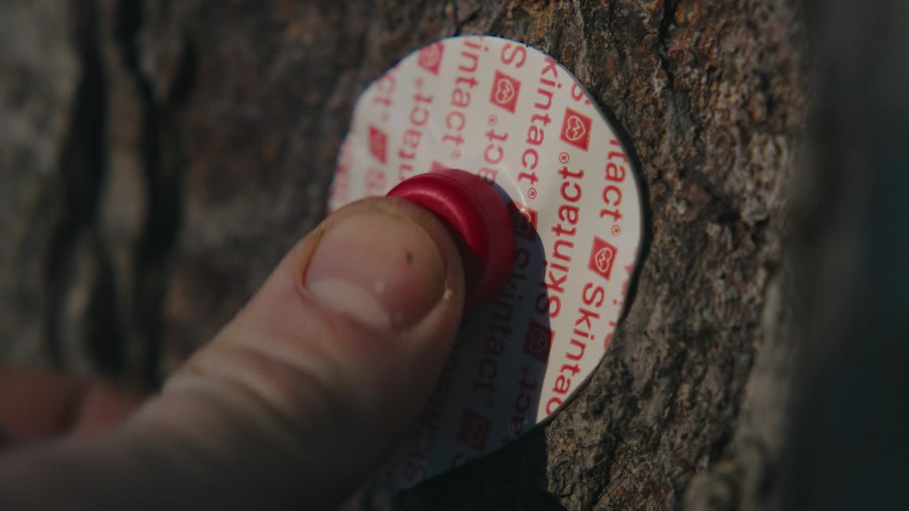 Nature rebranded: The future of climate storytelling - Locate Productions - Agency for Nature, created by Purpose Disruptors, redefines climate storytelling by embedding nature into youth culture through fashion, football and a AI-powered storytelling. As the key production partner, Locate Productions delivered low-carbon, multi-channel campaigns alongside five leading agencies, proving that shared resources and creative collaboration can drive impactful storytelling, making nature as exciting as the latest sneaker drop.