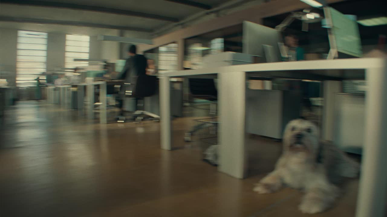 Pleasure Makes Us Human - Movie Magic - Lavazza