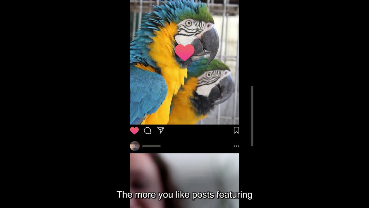 Ban This Profile - Ampara - Ampara