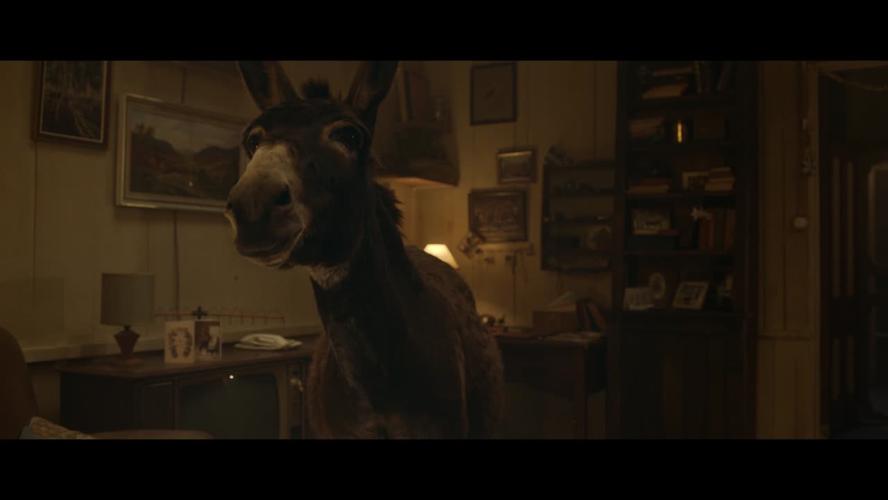 Donkey - Revolver - Revolver