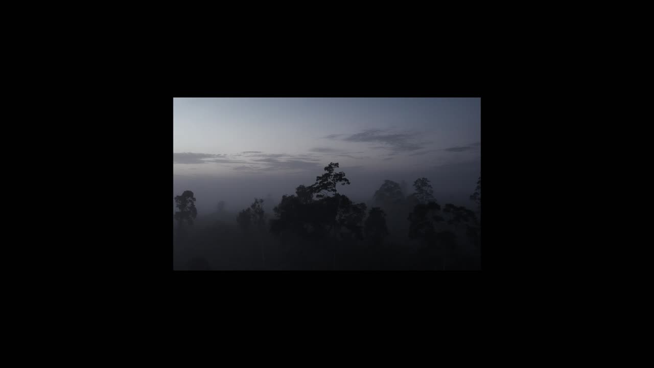 Forest Carbon - - Forest Carbon