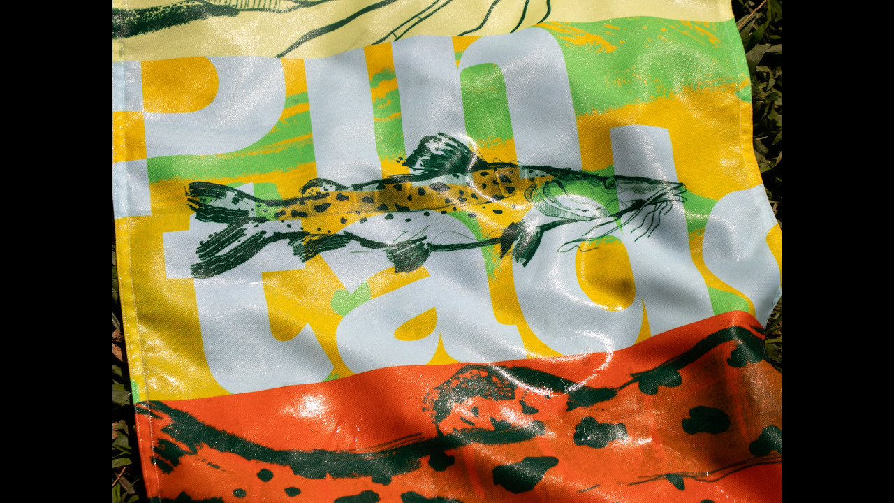 Projeto Peixara - 2024 - Enredo Brand Innovation