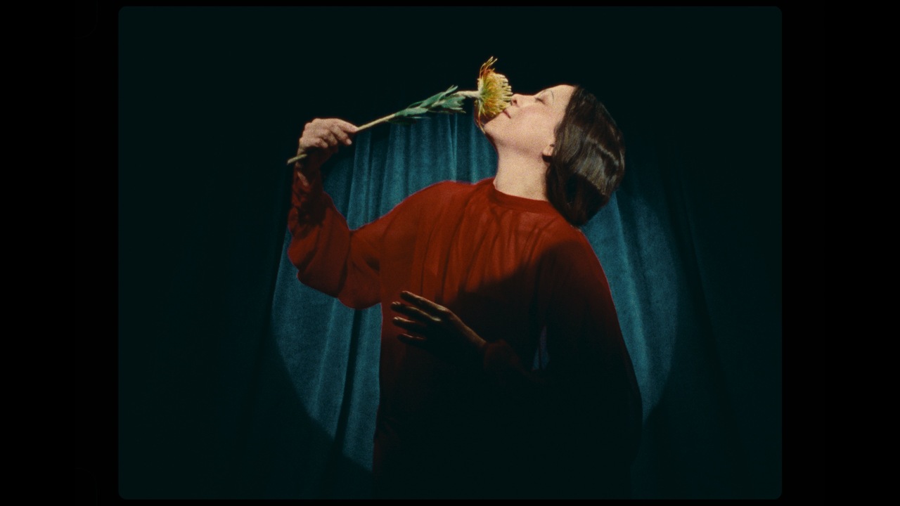 Cancionera - elefantelefante - Natalia Lafourcade