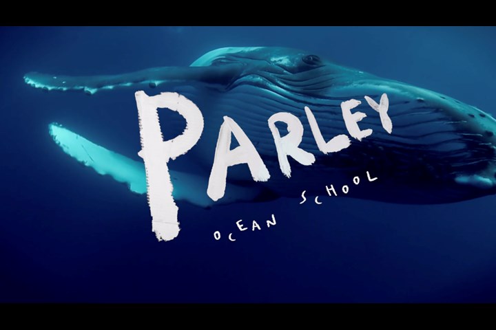Parley Ocean School Episode 1: Sylvia Earle - The Most Important Thing In The World - Mr.Frank - Parley Ocean Schools