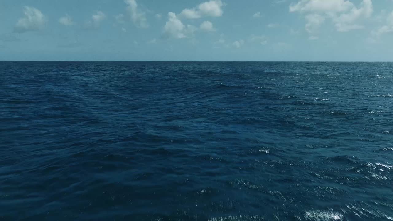 There's Something In The Water - Revolver - Revolver