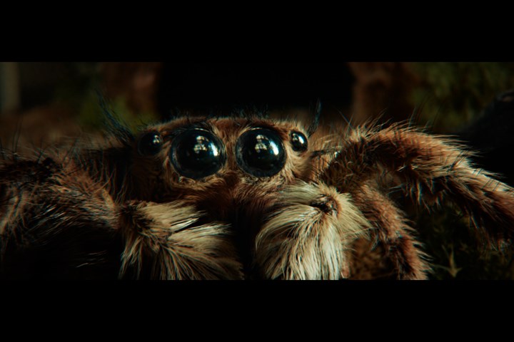 Samsung 'The Spider & The Window' - Zauberberg Productions - The Mill