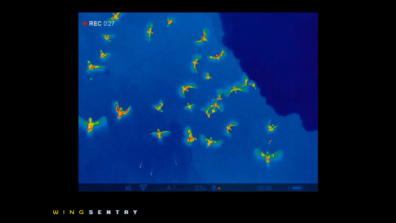 WingSentry - WingSentry - Behavioural Ecology & Conservation Group