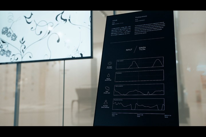 The Continuously Changing Brand Identity “SHISEIDO KARAKUSA” - SHISEIDO KARAKUSA - SHISEIDO KARAKUSA