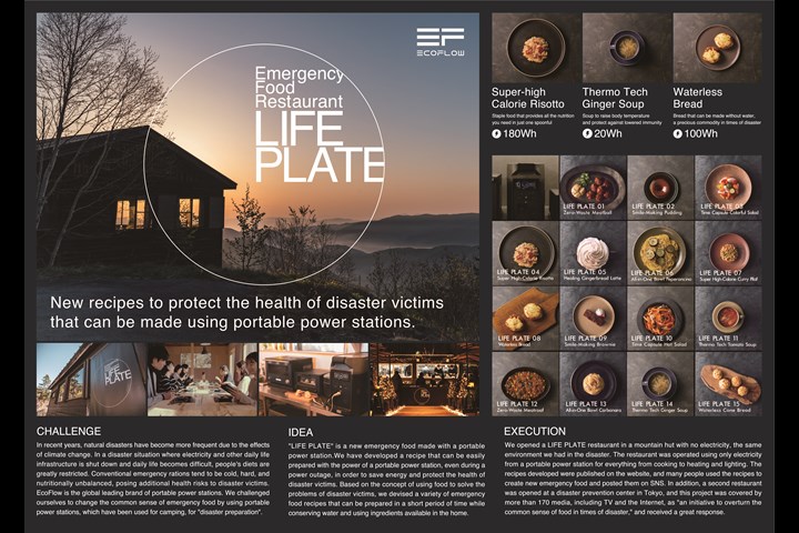 LIFE PLATE - EcoFlow DELTA Pro - EcoFlow