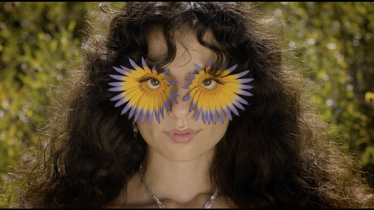 Let Them Dream Cake - Los Films - 