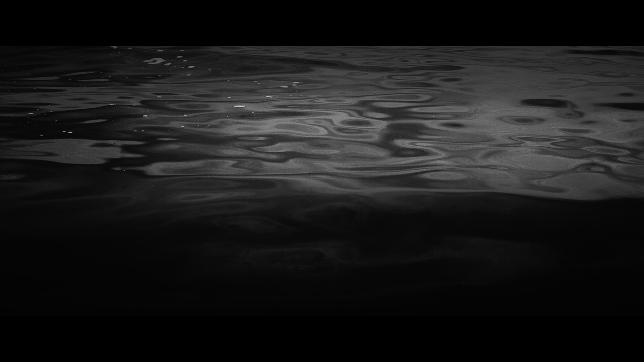 Tides of Freedom - - 