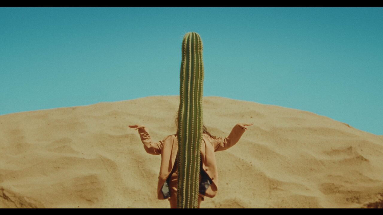 Lila - Traumton - Shake Stew