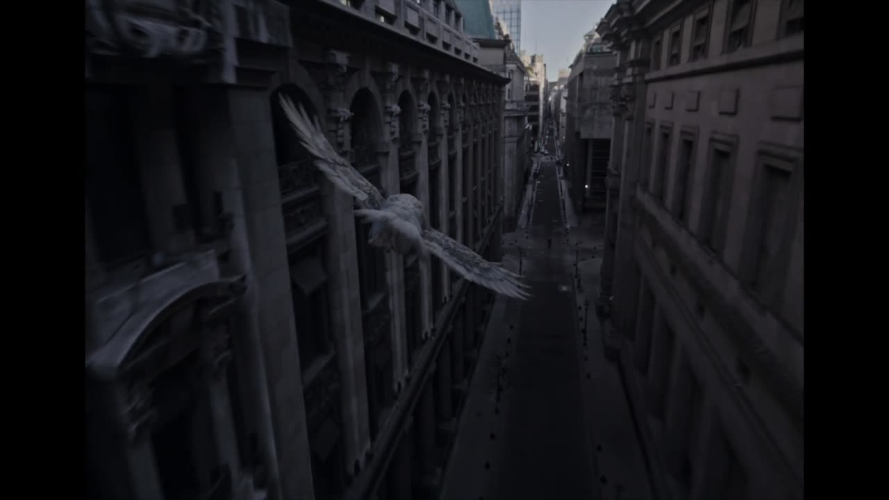 Much More To See - LANDIA - LANDIA