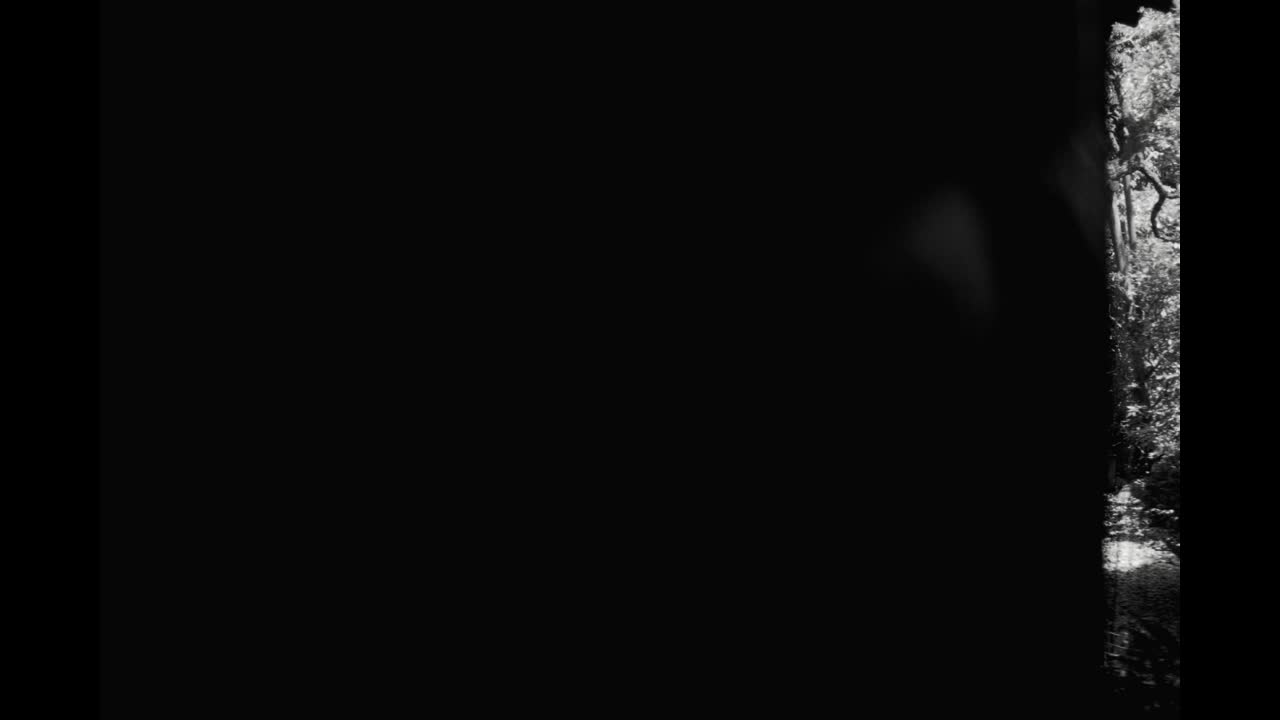 Mamushi - Roc Nation - Megan Thee Stallion