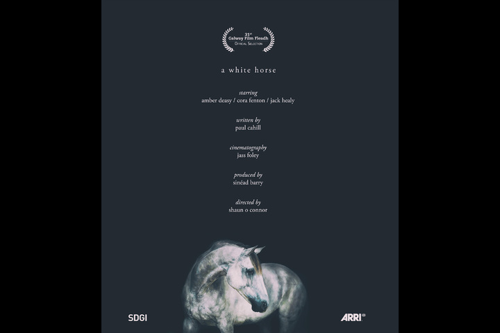 A White Horse - Shaun O Connor - Three Pin Productions
