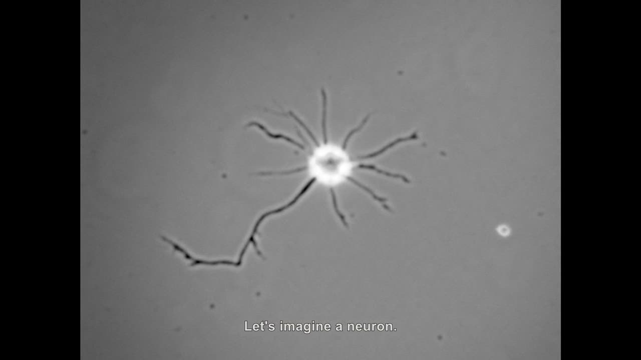 Telefónica - Neuron - CANADA - Telefónica