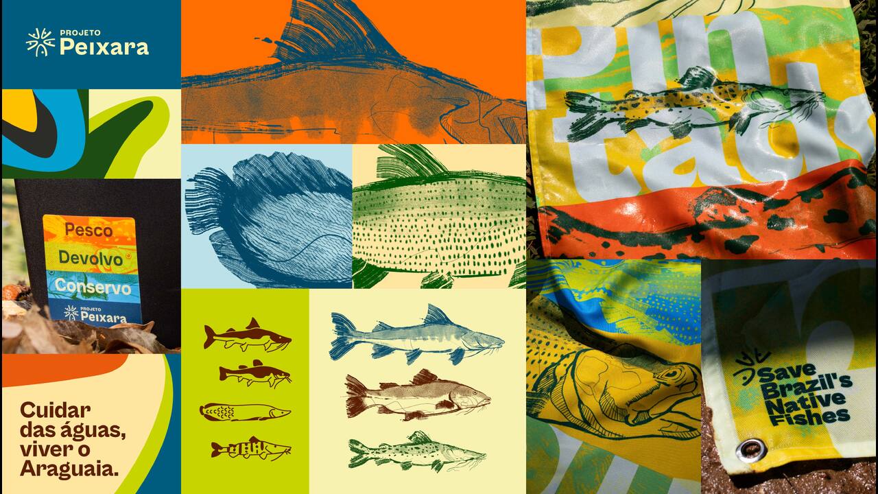 Projeto Peixara - 2024 - Enredo Brand Innovation