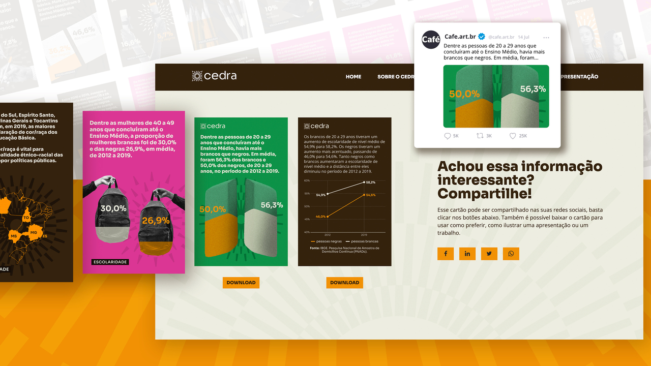 Plataforma e Visualizações CEDRA - 2022 - Café.art.br