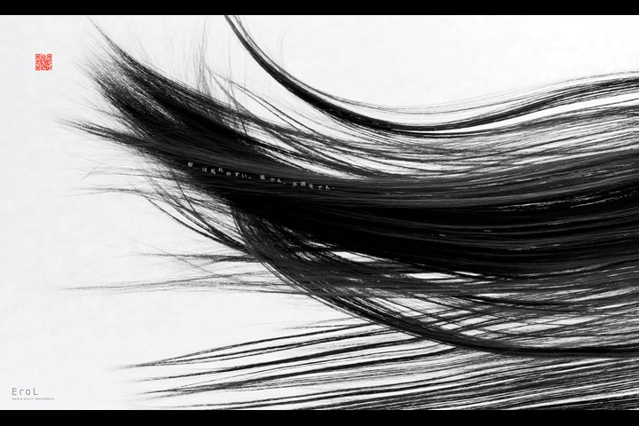 Hair Calligraphy and Painting - Beauty, Cosmetics / Hair and Scalp Treatments (Products and Treatment service) - EraL