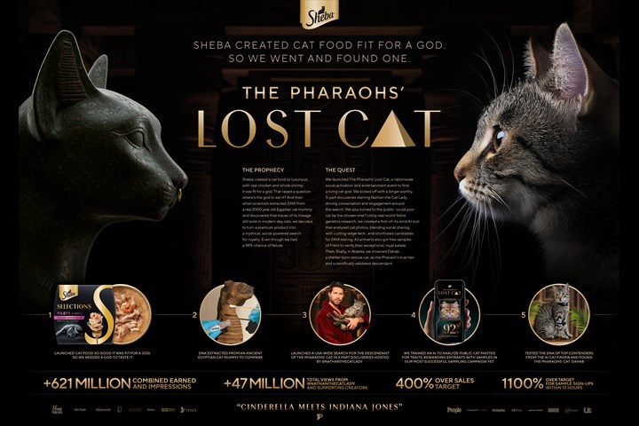 The Pharaohs' Lost Cat - Sheba - Sheba