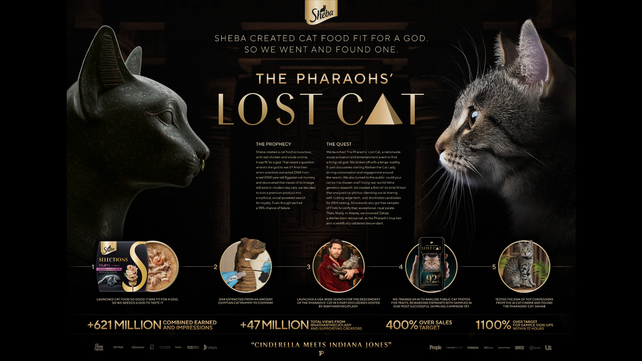 The Pharaohs' Lost Cat - Sheba - Sheba