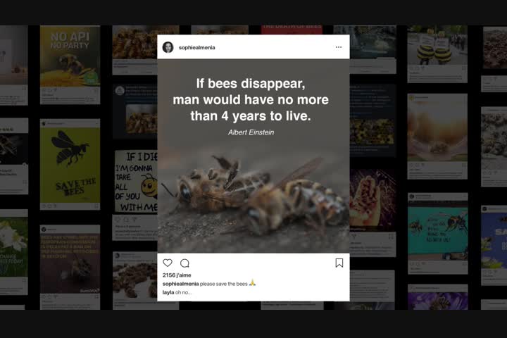 Bee_nfluencer - NGO - Fondation de France