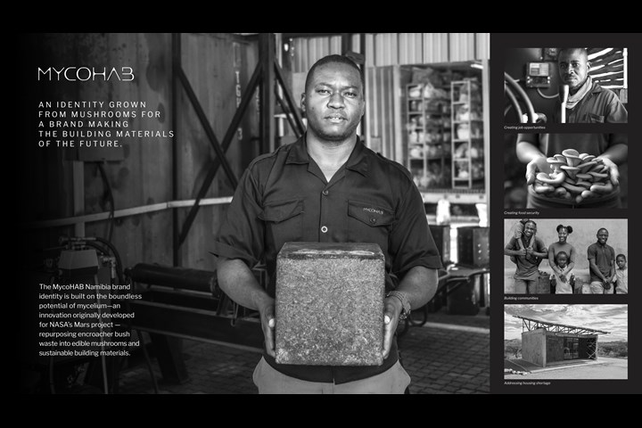 A Living, Growing Identity - Mycohab - Standard Bank, Mycohab