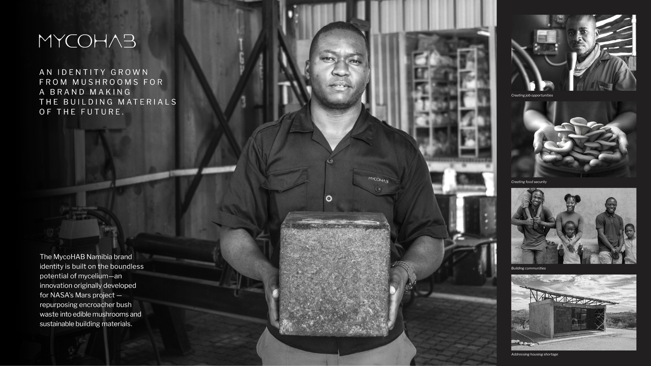 A Living, Growing Identity - Mycohab - Standard Bank, Mycohab
