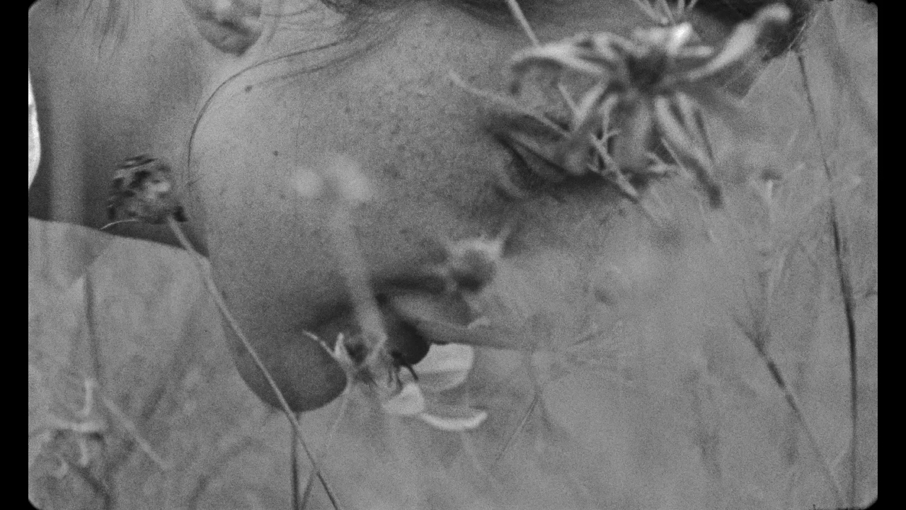 Sense of Place - Some Films - Naive