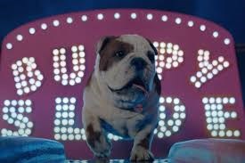 Slide - Pulse Films - Churchill Insurance