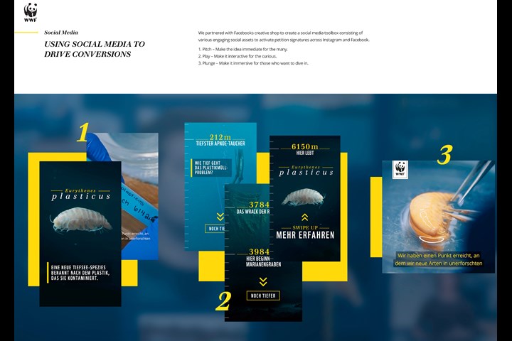 Eurythenes plasticus - A new species - WWF Germany