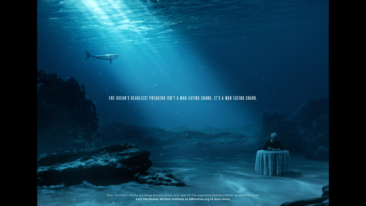 Man Eating Shark Poster - Animal Welfare Institute (AWI) - Animal Welfare Institute (AWI)