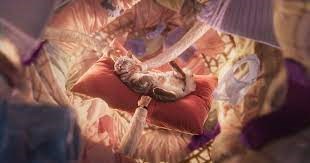 Purr More - Whiskas - Whiskas