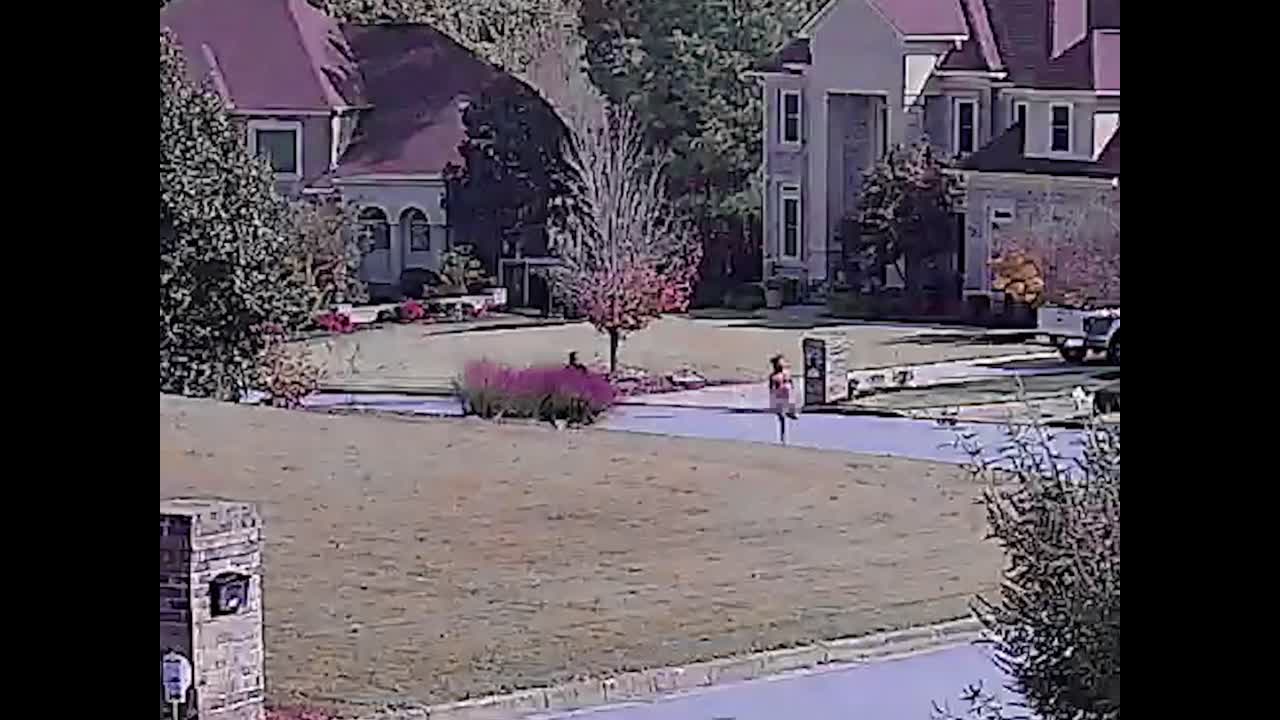 JACK HARLOW - HELLO MISS JOHNSON - Vanta - Atlantic Records