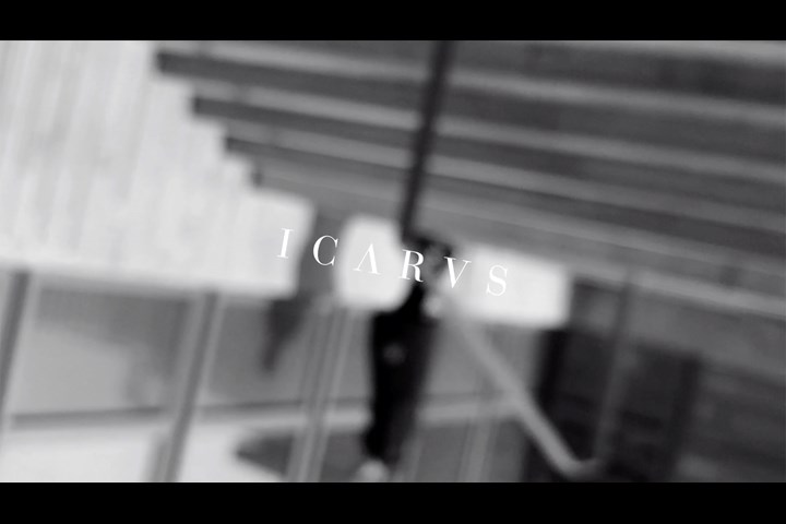 ICARVS - none - none
